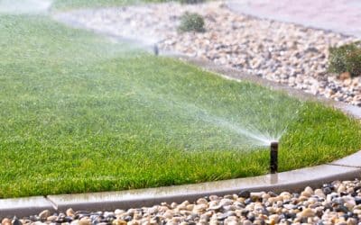 3 Benefits of Irrigation Repair Before Summer