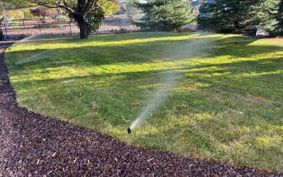 Should You Winterize Your Irrigation System?