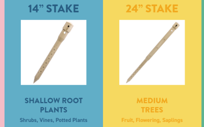 Deep Drip Water Stakes