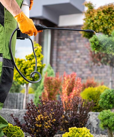 Yard Maintenance in Prescott, AZ