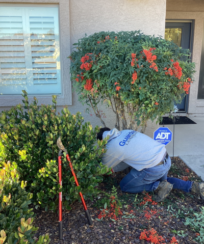 Lawn Enhancements in Prescott, AZ