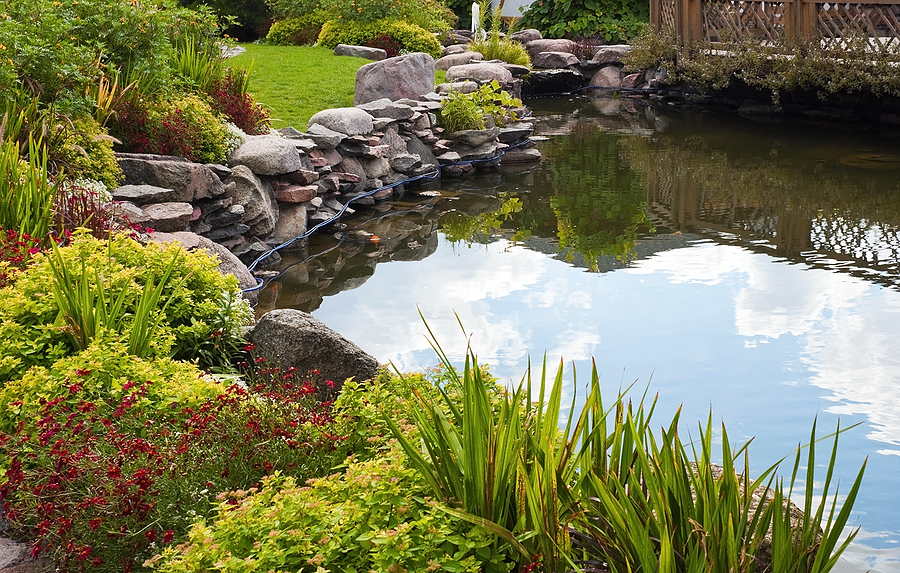 Landscape Pond Installation Prescott AZ