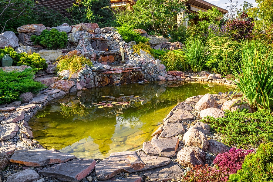 Landscape Pond